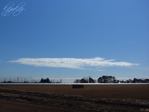 空・雲・そして畑.jpg
